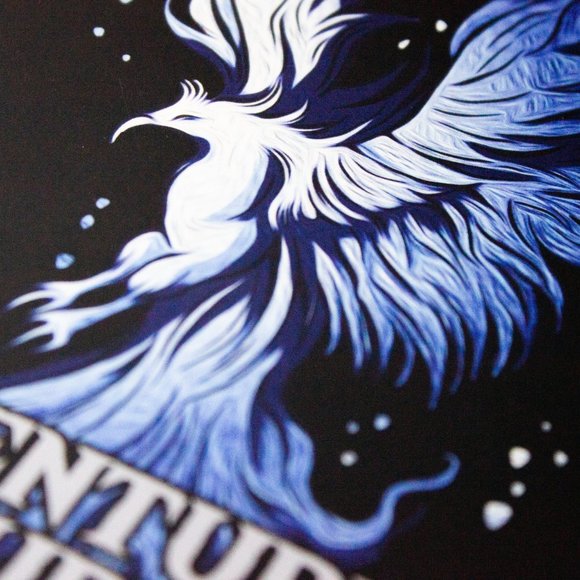 Blue Phoenix TTRPG Character Sheet Book - Picture 2 of 6